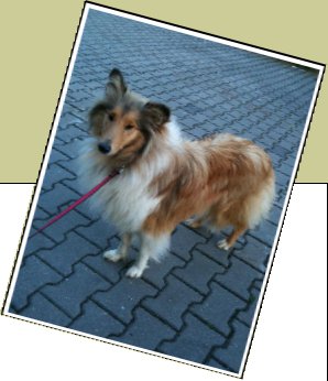 Bild : Vicky